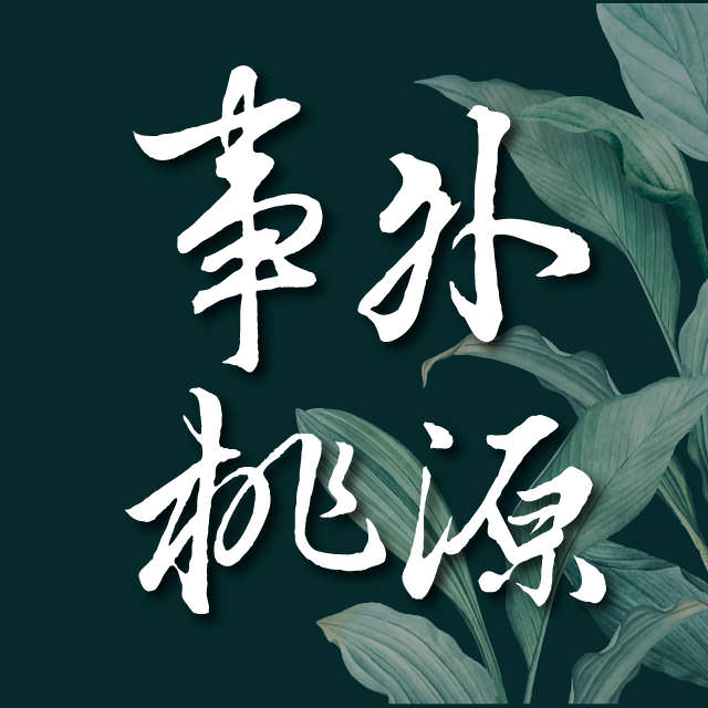 Instagram 商業帳號單張大頭貼照視覺設計